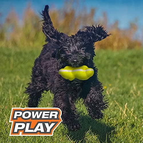 Nylabone Power Play Tennis Teddy Gripz Dog Fetch Toy, Medium