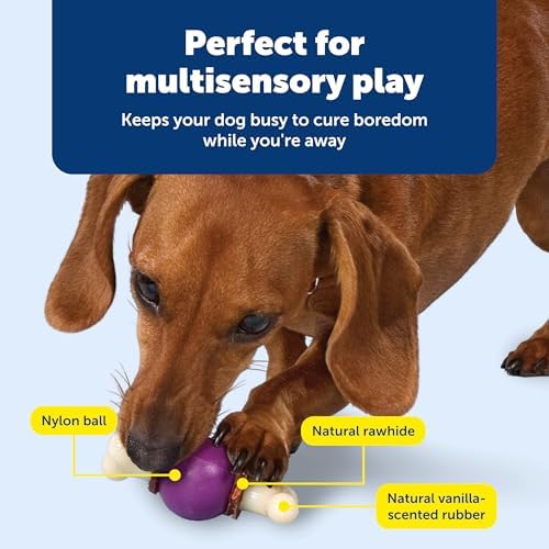 PetSafe Busy Buddy Bouncy Bone Treat Holding Dog Chew Toy, Small