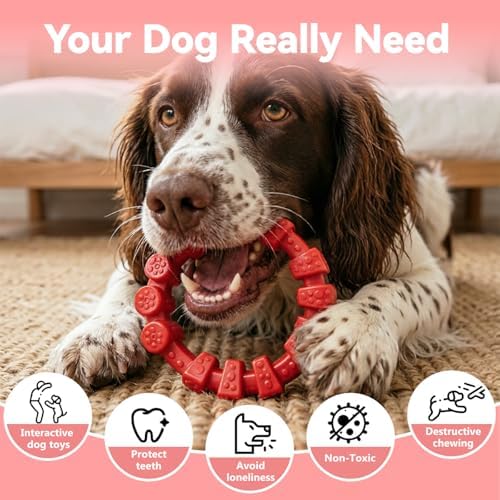 BoYoYo 2 Pack Indestructible Dog Chew Toys for Aggressive Chewers