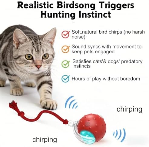 2PCS Interactive Cat Toys Ball, Tiny Fetch Interactive Dog Cat Toy Ball - 360° Automatic Scrolling with Birdsong, Smart Obstacle Avoidance, Rechargeable Boredom Buster for Pets (Blue+Red)
