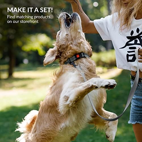 Reflective Dog Collar, Quick-Release Buckle (Grey, 12-16 Inch)