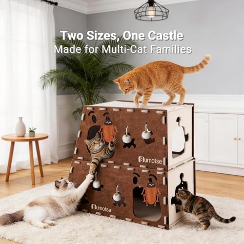 Cat Tunnel House for Indoor Cats, 3-in-1 Felt Cave and Scratcher