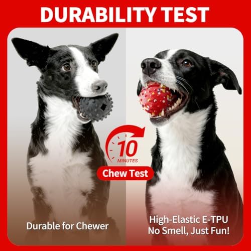 Interactive Dog Toys, Rechargeable Dog Ball, Automatic Moving Toy for Small Medium Dogs, Indoor Outdoor Exercise, Chew Resistant Design to Keep Busy
