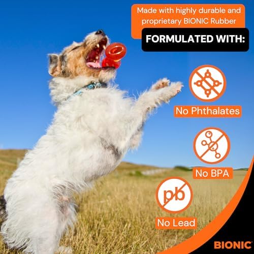 BIONIC Bone Dog Toy for Dogs Up to 20 lbs, Small