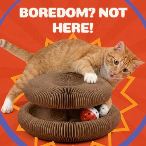 Kitty&Scratch Cat Scratcher Toy | Cardboard Cat Toy with Ball Track with Bell | Kitty Kurlz | Kitty Curls Style Accordion Toy (2 pcs)