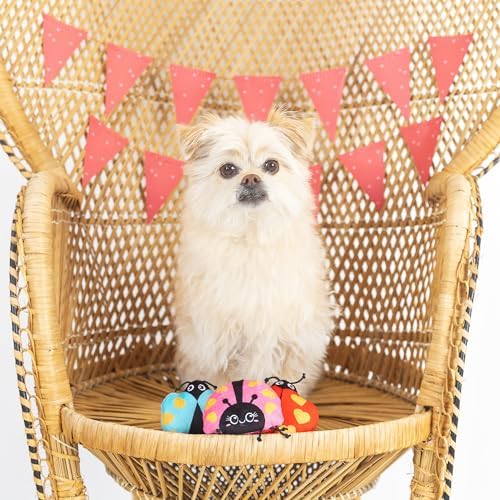 Fringe Studio Plush Dog Toy, Buggy for You, Small 3 Piece Set, Pet Shop Collection (662028) (Pack of 2)
