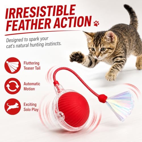 Interactive Cat Toy Ball with LED Lights, USB-C Rechargeable Automatic Cat Toy with Feather Tail, Smart Exercise Toy for Indoor Cats & Kittens, Upgraded Version