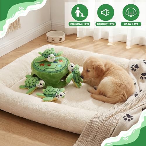 Squeaky Dog Toy Interactive Plush Hide and Seek, Turtle