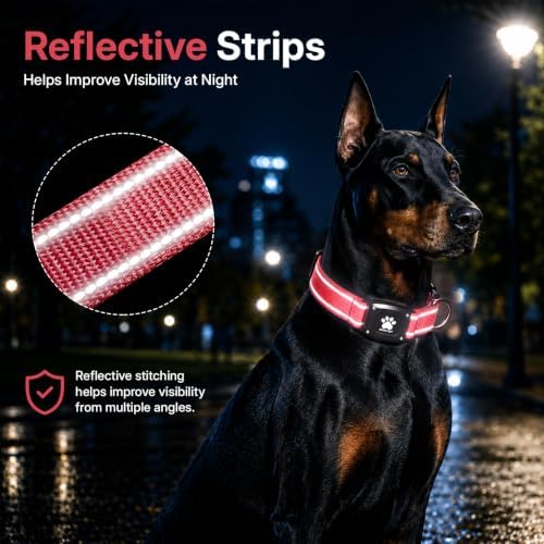 GPS Dog Collar with Tracker, Waterproof, No Monthly Fee, Red, M