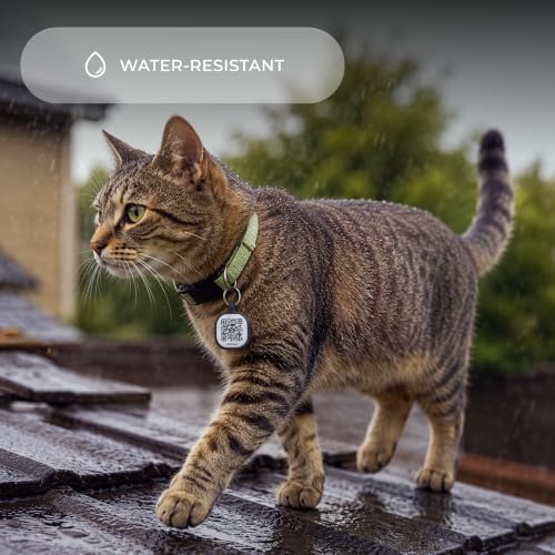 Pebblebee QR Code Dog & Cat ID Tag | Silicone | Scan-to-Return | No Battery
