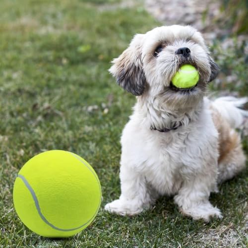 Magicorange 4 Pack 6 inch Giant Tennis Ball, Large Dog Toy Ball