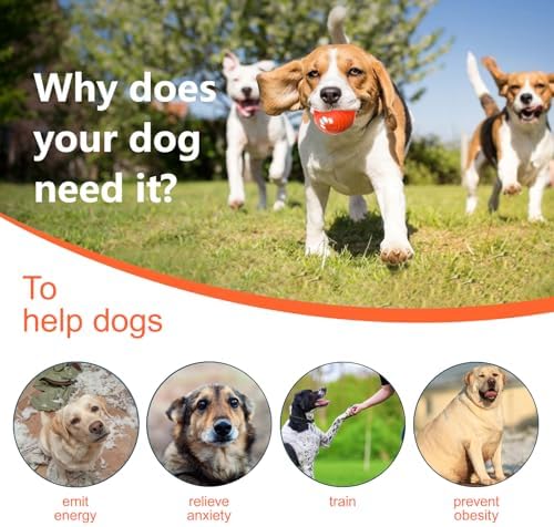 Interactive Dog Ball - Smart Toy for Small and Medium Dogs, Automatic Moving Ball, Rotating & Bouncing, Durable TPU+PC Shell, Toys That Keep Dogs Busy, for Dog (Orange)