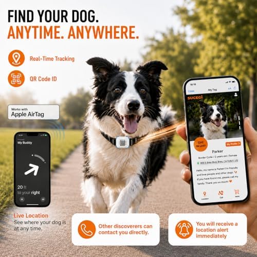 AirTag Dog Collar with QR Code ID, Dog Collar with Air Tag Holder, Black, L
