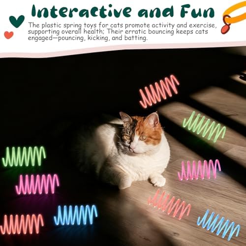Sosation 24 Pcs Glow in The Dark Springs Cat Toys Kittens