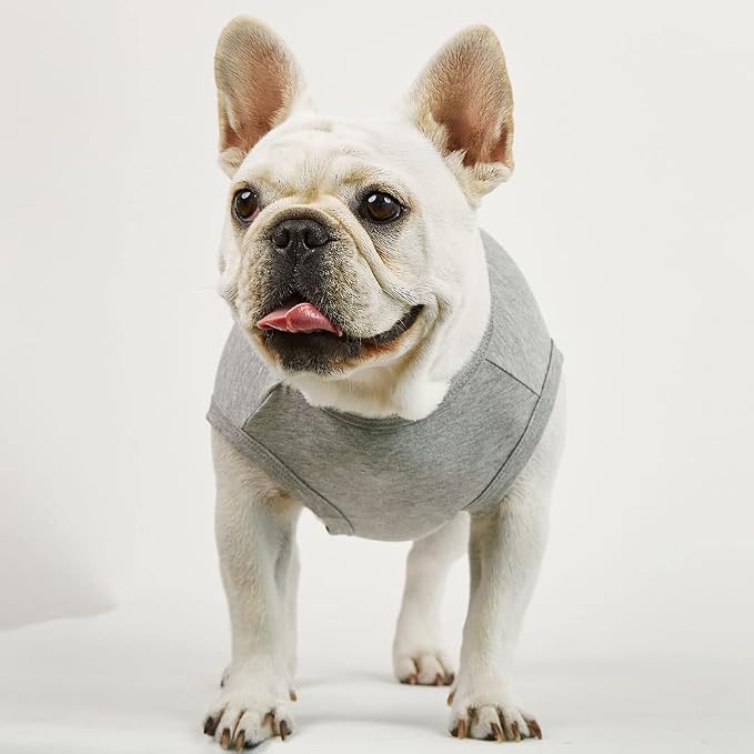 Dog Sleeveless Tank Top Cotton Shirts for Dogs Plain Sleeveless T-Shirts Soft Breathable Cool Dog Shirt pet Clothes (Medium, Gray)