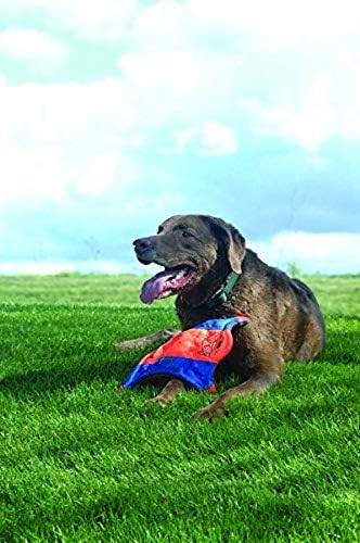 Chuckit! Ultra Tug Dog Toy (Medium) Flying Squirrel Fetch Dog Toy (Medium)