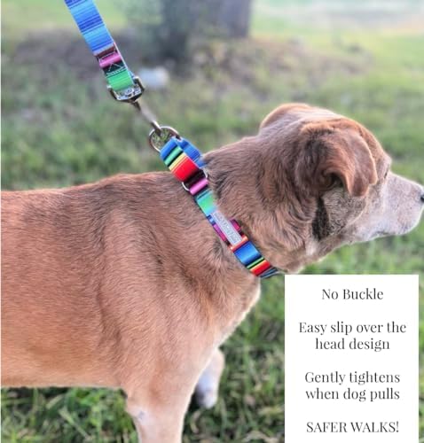 Lucky Love Dog Martingale Collar for Medium Dogs No Slip – Nacho, Medium