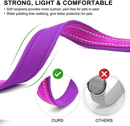 azuza Airtag Dog Collar, Medium Dog Collar with Airtag Holder, Purple, M