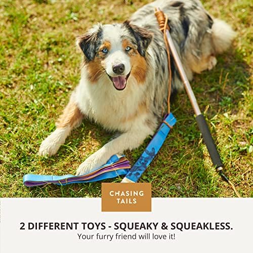 Chasing Tails Flirt Pole for Dogs Heavy Duty - 36 Inch Flirt Pole for Large Dogs with Extendable 83 Inch Rope | Two Toys Included | Suitable for All Breeds | Pets Play Equipment