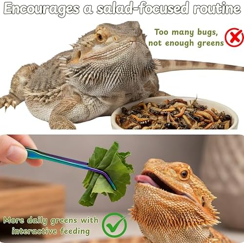 Bearded Dragon Enrichment Toys Feeding Tongs Accessories, Veggie Feeder Ball and Feeding Tongs with Rubber Tip, Greens Training Kit for Reptile Lizard Gecko, Reptile Tank Accessories (Green)