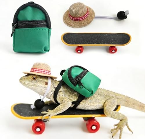 3 Pack Bearded Dragon Toy Set Includes a Bearded Dragon Backpack, an Adjustable hat, and a mini Skateboard Toy, for Small Reptile Pets Such as Lizards, Hamsters, Parrots, and Turtles.（Green）