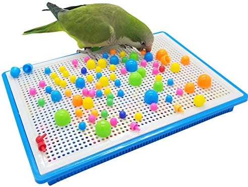 QBLEEV Parrot Puzzle Toys - Bird Intelligence Training, Parakeet & Conure Cage Accessories, Cockatiel Foraging & Chewing Toys
