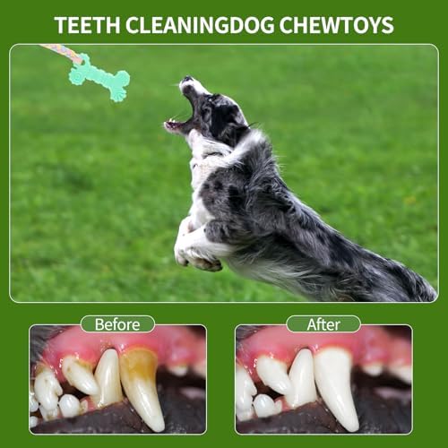 4 PCS Puppy Chew Toys for Small Dogs, Soft Rubber & Rope Teething Toy Set for Puppies, Durable Interactive Teethers for Biting Relief, Under 25 lbs(Style 10)
