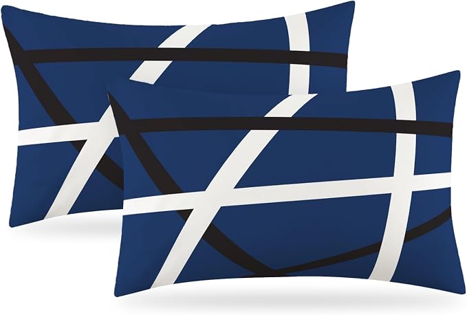 Modern Art Geometric Pillow Cover, Decorative Throw Pillow Covers Blue White Abstract Artwork Cushion Cover for Bedroom Sofa Living Room 12 x 20 Inch Set of 2