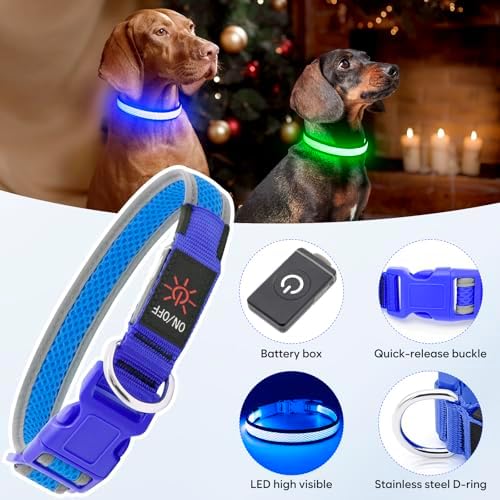 Flashseen LED Dog Collar, Light Up Dog Collar USB Rechargeable, Blue, S