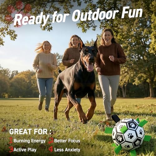 QDAN 10 Inch Gaint Dog Soccer Ball with Straps, Durable Large Dogs Balls | Outdoor Big Dog Toys, Herding Balls for Large Dogs, Puppy Toy for >100 lbs Dogs, Interactive Training Soccer, Pool Water Toy