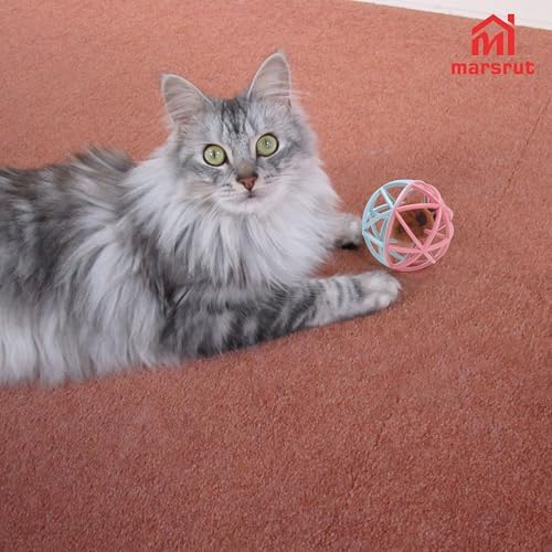 Squeaky Mouse Ball Cat Toy with Simulated Sound, Mouse Ball Cage, Squeky Balls for Cats to Play with Indoor, Plastic Squeak Interactive Funny Toys Best for Playing Chewing Training Chasing (Pink-Blue)
