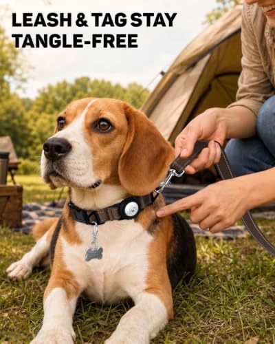 Padded Dog Collar with Waterproof Holder Compatible with Airtag