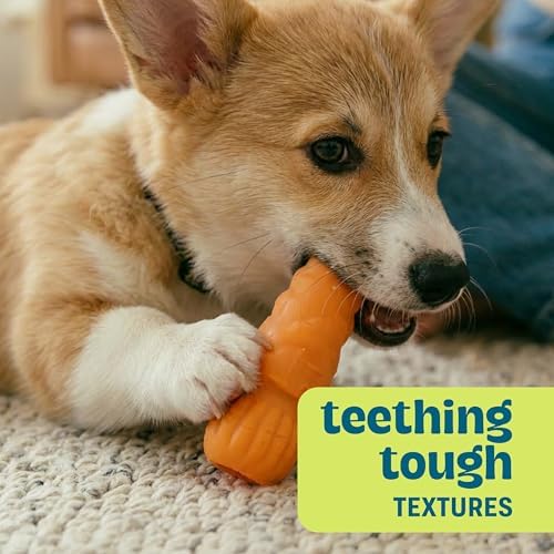 Flex-Force Veggie Chew Dog Toys, Multi-Textured & Floats, Multiple Scents for Sensory Play, Moderate Chewers, Teething Puppies and Small Breeds up to 25 lbs, 3-Pack, 4.9"