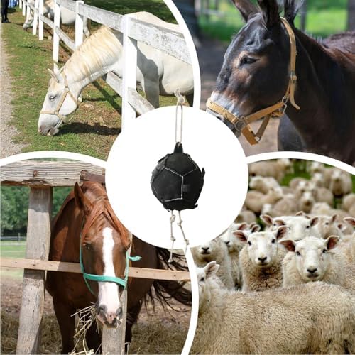 Horse Enrichment Toys - Carrot Holder Pet Supplies | Pet Treat Dispenser Horse Stall Accessories,for Play Feeding Training Equine Sheep Cattle Stable Barn Farm Paddock