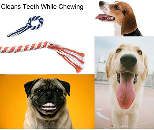 ASOCEA 3 Pack Dog Rope Toy, Flirt Pole Lure for Puppy Small Medium Dog