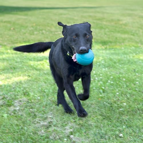 Chew King Fetch Balls Extremely Durable Natural Rubber Toy 4 inch, 2 Pack (CM-10031-CS01)