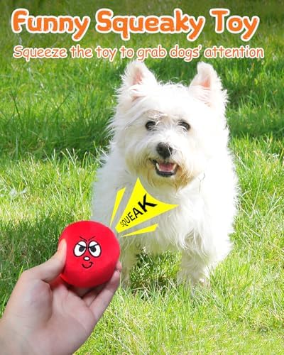 Squeaky Dog Toys, Interactive Soft Plush Puppy Toy Balls for Small Medium Breed, Cute Stuffed Pet Teething Ball Pack to Keep Dogs Busy