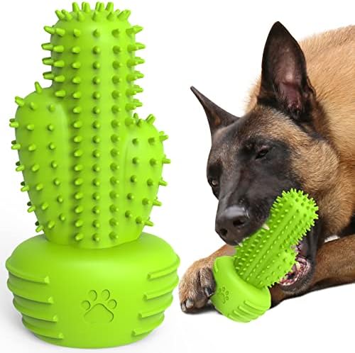 Pamlulu Dog Chew Toys & Teeth Cleaning Brush - Dental for Small, Medium & Large Dogs, Rubber Squeaky Toys for Aggressive Chewers, Cactus Tough Toys