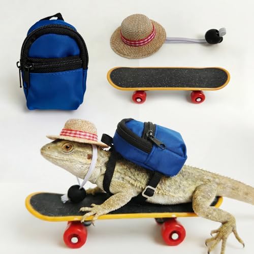 3 Pack Bearded Dragon Toy Set Includes a Bearded Dragon Backpack, an Adjustable hat, and a mini Skateboard Toy, for Small Reptile Pets Such as Lizards, Hamsters, Parrots, and Turtles.（Blue）