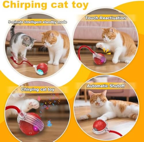 Interactive Cat Toys Ball for Indoor Cats＆Dog,Automatic Cat Toy with Smart Obstacle Avoidance,Bird Chirps & Auto Wake-Up,Includes 4 Cat Spiral Spring,Cat Enrichment Toys for Indoor Cats(Red)