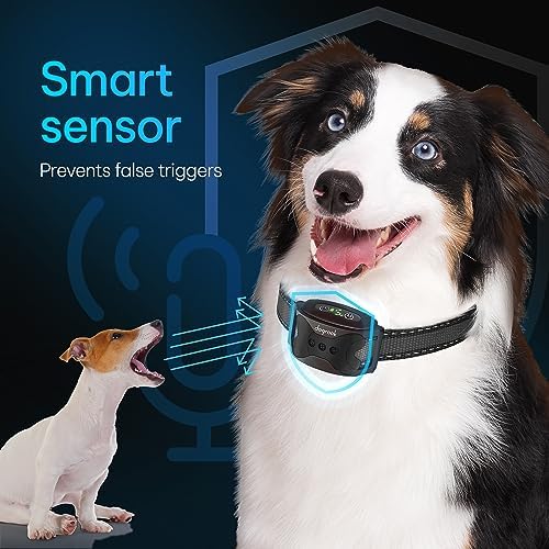 Dogrook Humane No Shock Rechargable Beep & Vibration Bark Collar for Dogs