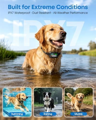GPS Wireless Dog Fence for Dogs 18+ lbs, 33–1999 Yard Range, XL