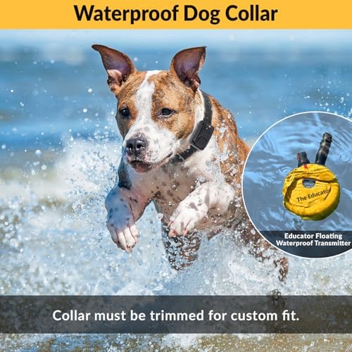 E-Collar Educator ET-402 Dog Training Collar, 2 Dog System, Yellow