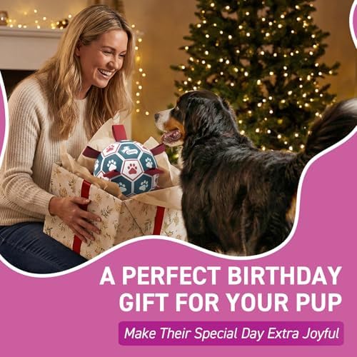 QDAN Large Outdoor Dog Toy, Soccer Ball with Straps, Durable Giant Dog Ball