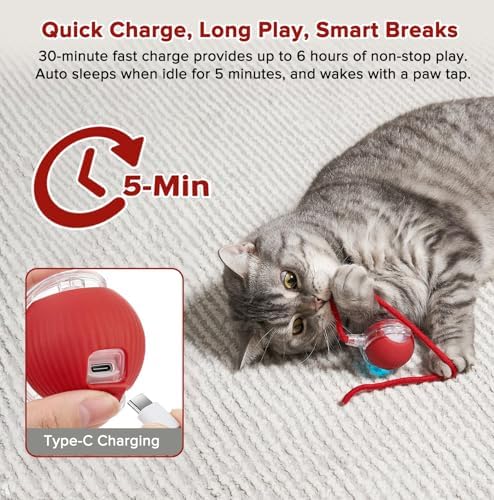 Interactive Cat Toy Ball for Indoor Cats, Motion Activated Cat Ball with 3 Speeds, 2 Replaceable Tails, Safe Material Kitten Toys, USB Charging, 360° Smart Rolling Ball for Bored Adult Cats and Dogs