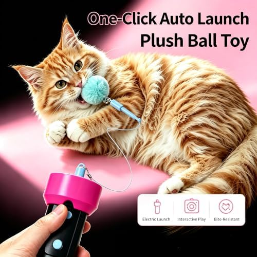 Electric Cat Fishing Toy, Type-C Recharge Interactive Teaser Entertainment Toy for Kitten, One-Click Pop Out & Auto Retractable Cat Wand Toy with Soft Balls, Kitten Teaser Toys for Indoor Cats (Black)