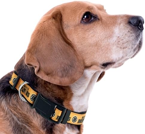 NHL Boston Bruins Collar for Dogs & Cats, Medium. - Adjustable, Cute & Stylish! The Ultimate Hockey Fan Collar!, Medium (12-18" Length x 0.62" Width)