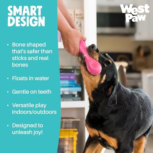 WEST PAW Zogoflex Hurley Dog Bone Chew Toy – Floatable Pet Toys for Aggressive Chewers, Catch, Fetch – Bright-Colored Bones for Dogs – Recyclable, Dishwasher-Safe, Non-Toxic, X-Small, Teal