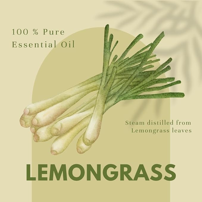 Lemongrass Essential Oil - 4 fl oz (Pack of 2) | 100% Pure & Therapeutic Grade | for Diffuser, Aromatherapy, Cleaning, DIY, Candles | Amber Glass Bottles with Droppers – GreenHealth