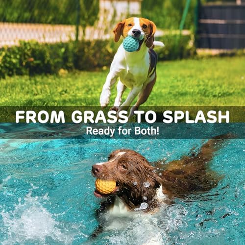 iPettie 4 Pack Honeycomb Dog Toys for Aggressive Chewers, Squeaky Chew Toys